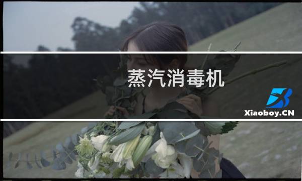 蒸汽消毒机 - 餐具蒸汽消毒机