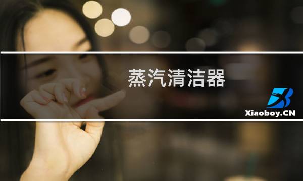 蒸汽清洁器 - 蒸汽清洗油烟机靠谱吗