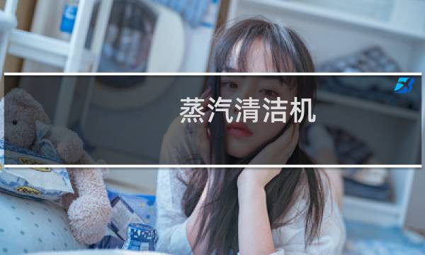 蒸汽清洁机 - 高温蒸汽清洗机骗局