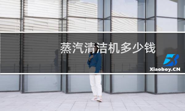 蒸汽清洁机多少钱 - 家电清洗蒸汽机多少钱一台