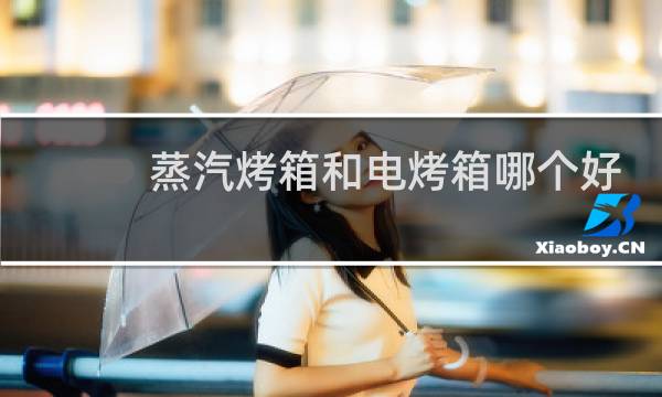 蒸汽烤箱和电烤箱哪个好 - 蒸汽加湿烤箱和普通烤箱区别