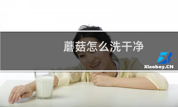 蘑菇怎么洗干净 - 蘑菇怎么才能洗干净