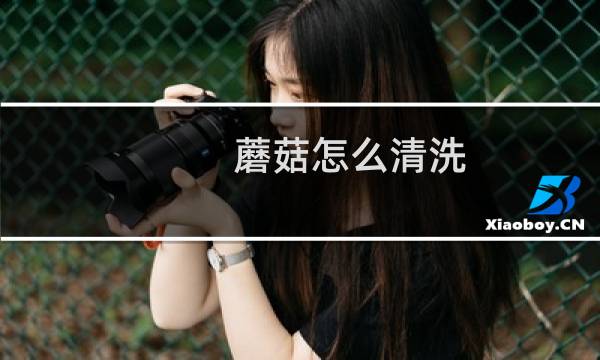 蘑菇怎么清洗 - 蘑菇怎么洗才干净