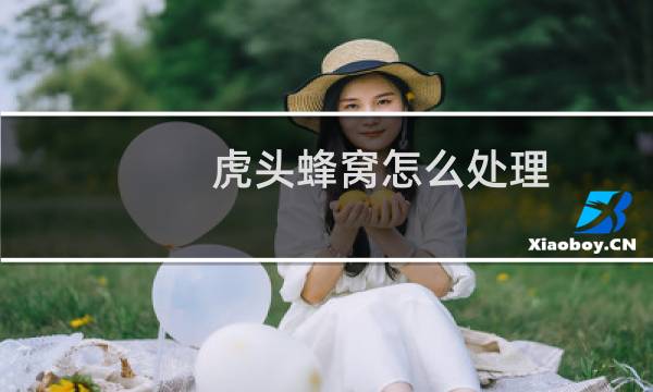 虎头蜂窝怎么处理 - 如何消灭虎头蜂窝