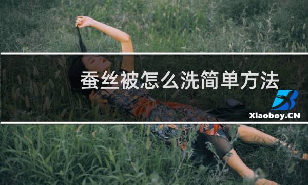 蚕丝被怎么洗简单方法 - 在家怎么洗蚕丝被
