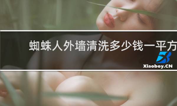 蜘蛛人外墙清洗多少钱一平方 - 深圳蜘蛛人一天多少钱
