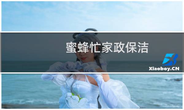 蜜蜂忙家政保洁 - 蜜蜂忙家政保洁排名第几
