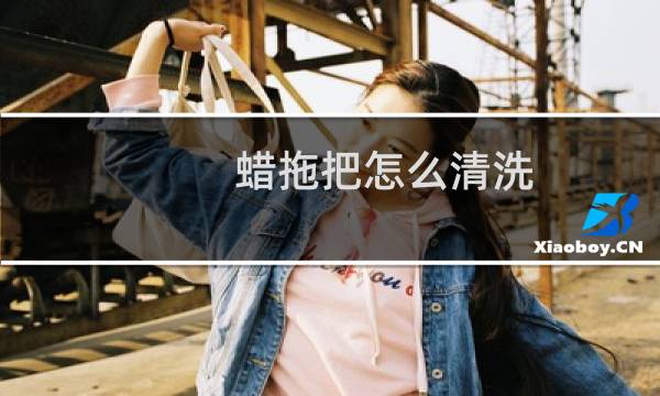 蜡拖把怎么清洗 - 汽车蜡拖把脏了咋办