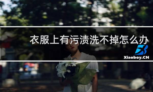 衣服上有污渍洗不掉怎么办 - 衣服上有荷叶污渍怎么洗