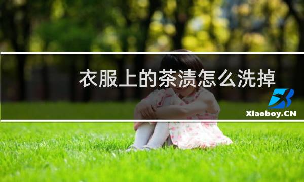 衣服上的茶渍怎么洗掉 - 衣服上茶渍用什么清洗干净