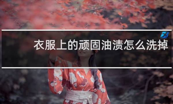 衣服上的顽固油渍怎么洗掉 - 衣服上的老油渍怎么洗
