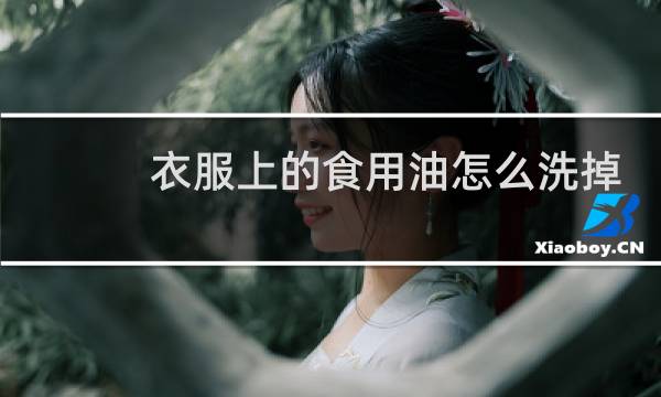 衣服上的食用油怎么洗掉 - 衣服上弄上食用油怎么洗下来