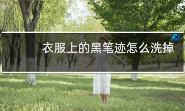 衣服上的黑笔迹怎么洗掉 - 黑色中性笔油怎么洗掉
