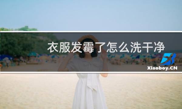 衣服发霉了怎么洗干净 - 衣服受潮发霉有霉点如何清洗