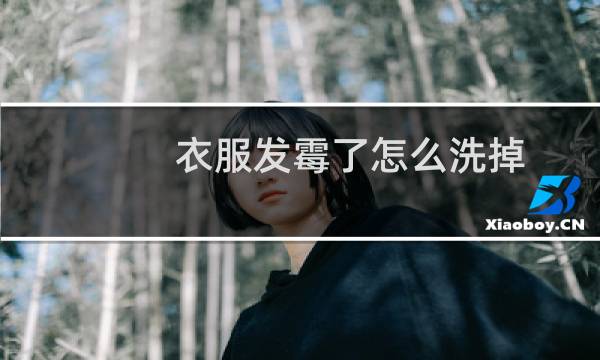 衣服发霉了怎么洗掉 - 衣服生霉斑了怎么洗掉