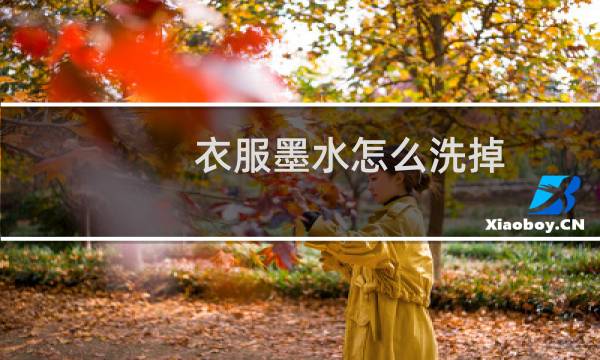 衣服墨水怎么洗掉 - 衣服上墨汁去除小窍门