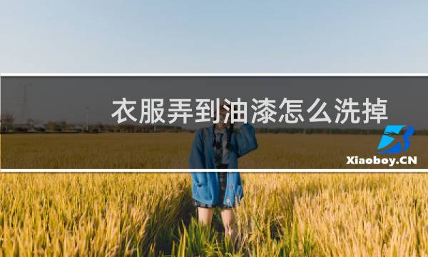 衣服弄到油漆怎么洗掉 - 衣服上油漆怎么洗