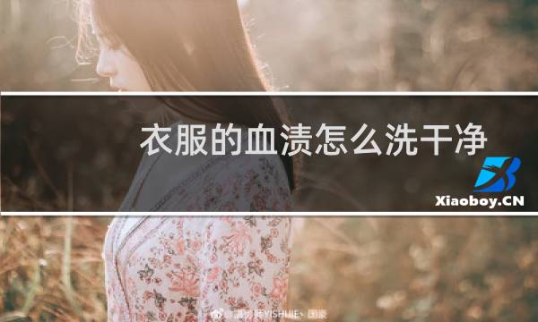 衣服的血渍怎么洗干净 - 衣服上血渍久了怎么洗干净