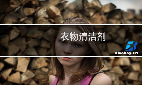 衣物清洁剂 - 衣物去污清洁剂