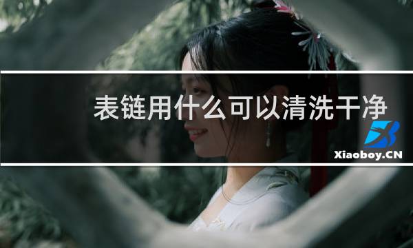 表链用什么可以清洗干净 - 手表链用什么清洗