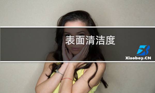 表面清洁度 - 表面清洁度St2