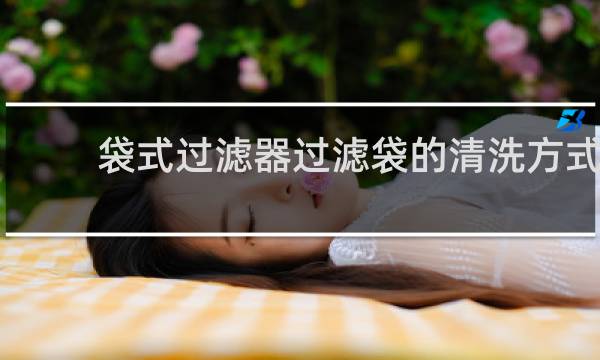 袋式过滤器过滤袋的清洗方式 - 布袋过滤器清洗