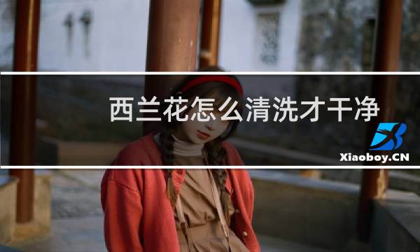 西兰花怎么清洗才干净 - 西兰花怎么洗怎么做