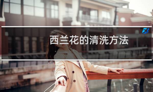 西兰花的清洗方法 - 西兰花怎么洗怎么做