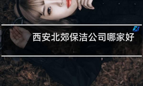西安北郊保洁公司哪家好 - 西安未央区保洁