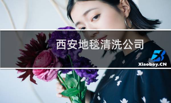 西安地毯清洗公司 - 西安保洁公司
