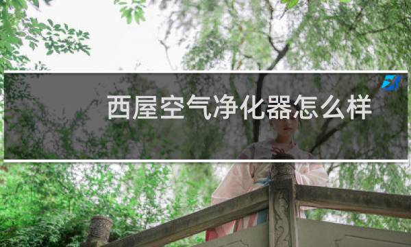 西屋空气净化器怎么样 - 西屋车载空气净化器怎么样