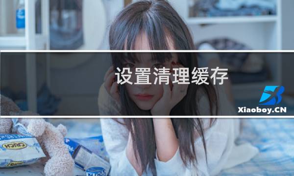 设置清理缓存 - 设置怎么清理缓存
