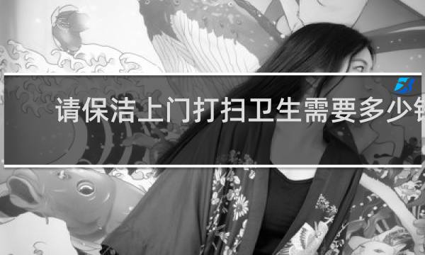 请保洁上门打扫卫生需要多少钱 - 房子打扫卫生请保洁