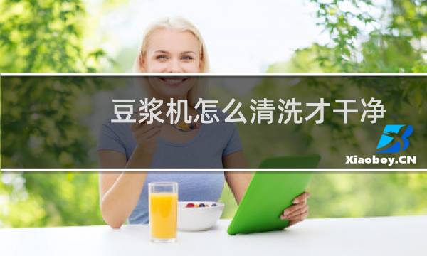 豆浆机怎么清洗才干净 - 豆浆机怎么快速清洗