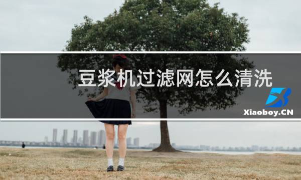 豆浆机过滤网怎么清洗 - 豆浆渣滤网勺怎么清洗