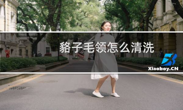 貉子毛领怎么清洗 - 貉子毛领能不能水洗
