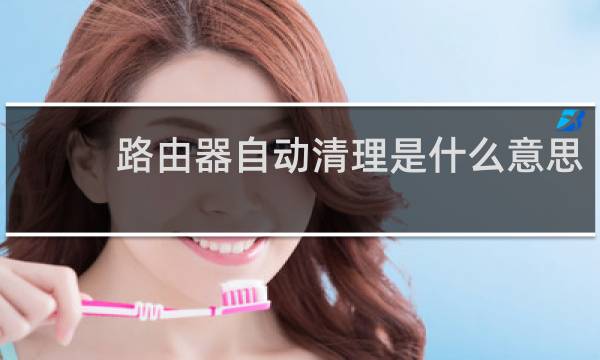 路由器自动清理是什么意思 - 路由器自动清理描述怎么填