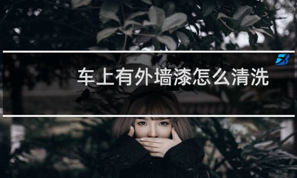 车上有外墙漆怎么清洗 - 车上飞满了外墙漆怎么办