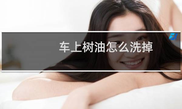 车上树油怎么洗掉 - 车上滴了树油已经凝固