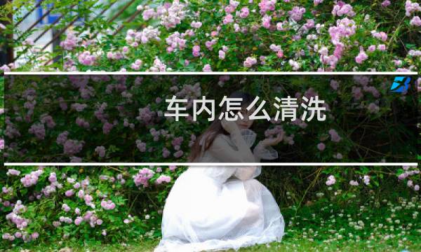 车内怎么清洗 - 汽车海绵垫进水如何干得快