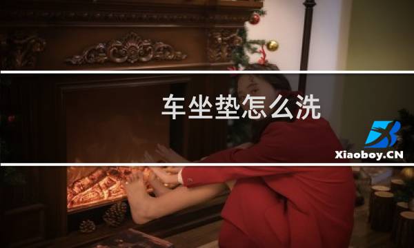 车坐垫怎么洗 - 大便搞到车坐垫怎么清理