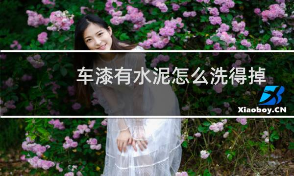 车漆有水泥怎么洗得掉 - 车上泥巴干了几天没有洗