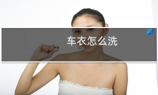 车衣怎么洗 - 车衣内层脏了怎么洗