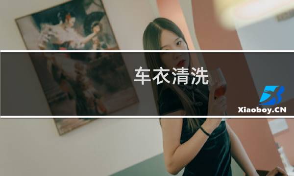 车衣清洗 - 车衣内层脏了怎么洗