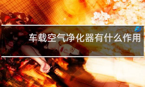 车载空气净化器有什么作用 - 车载空气净化器都是扯淡