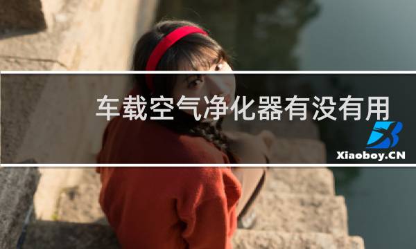 车载空气净化器有没有用 - 车载空气净化器都是扯淡