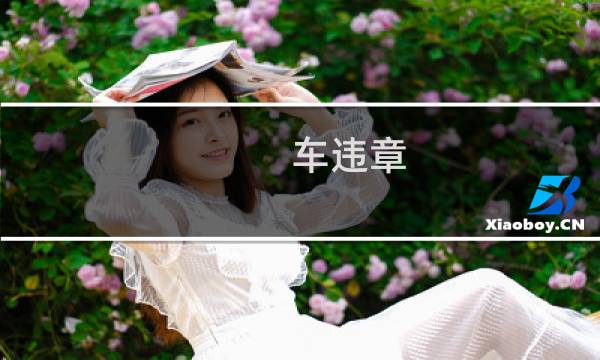 车违章 - 车辆违章是什么