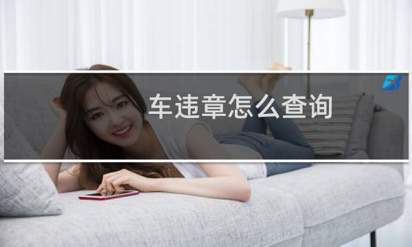 车违章怎么查询 - 车辆违章怎么查?
