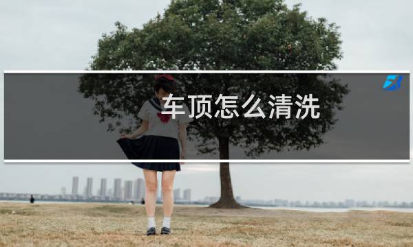 车顶怎么清洗 - 蚊子拍死在车顶有血怎么处理