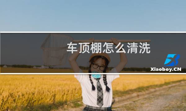 车顶棚怎么清洗 - 车内顶棚怎么清洗才能干净